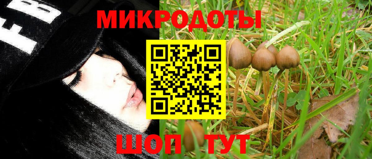 Лосино-Петровский  Галлюциногенные грибы мицелий  Вход с VPN 