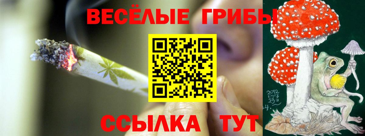 Псилоцибиновые грибы Psilocybine cubensis Лосино-Петровский